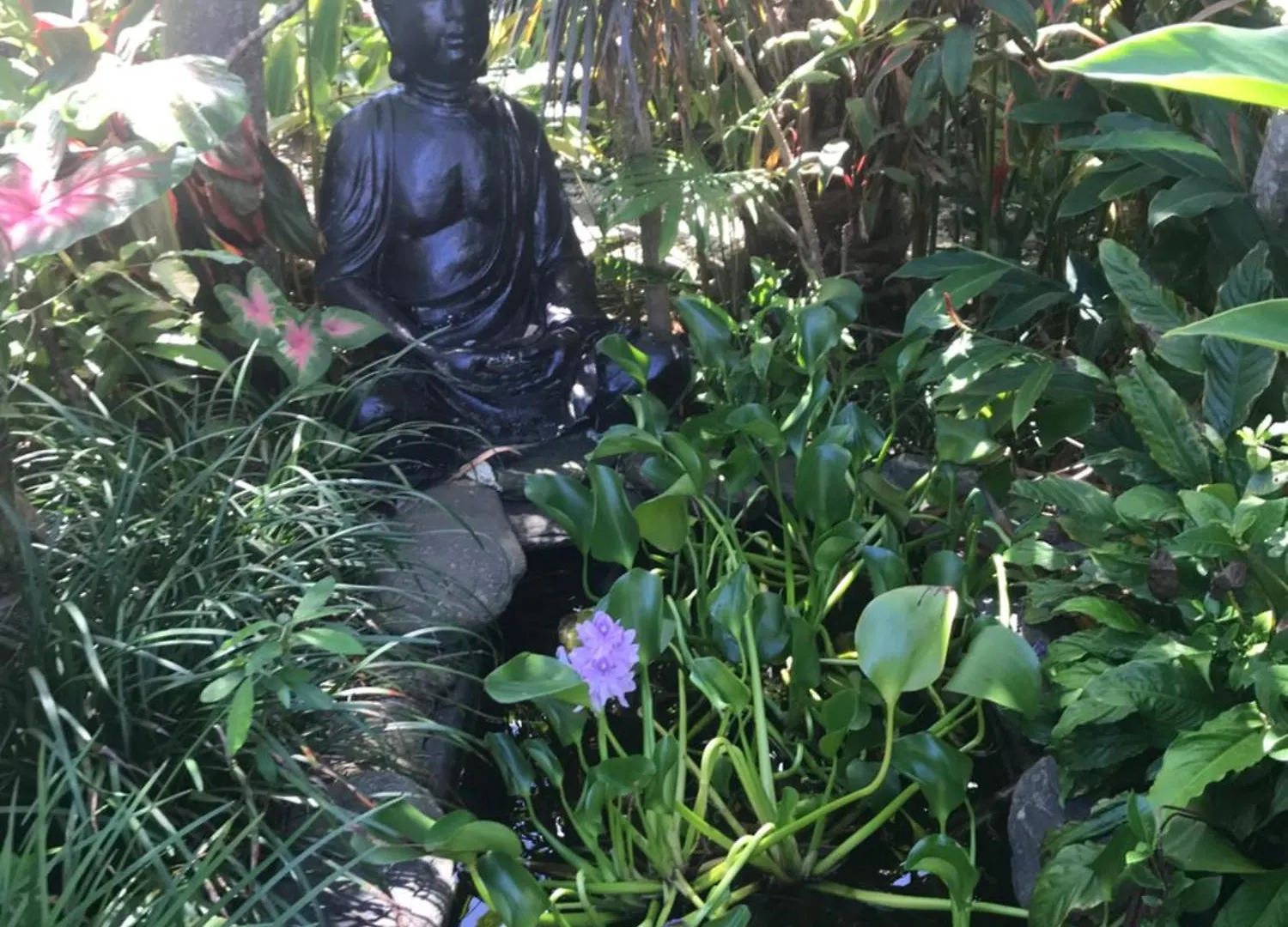 Chez Brolga Villa Port Douglas
