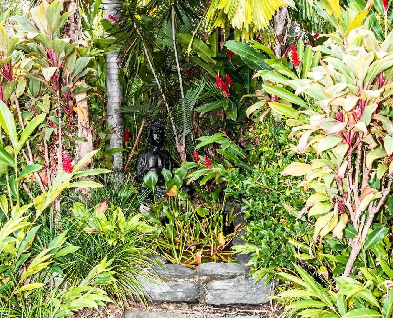 Holiday home Chez Brolga Villa Port Douglas
