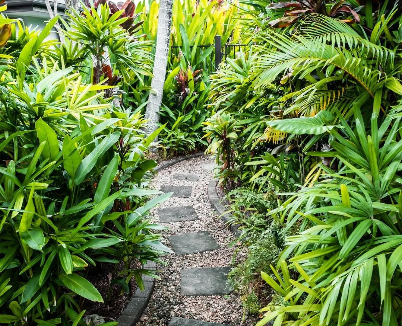 Holiday home Chez Brolga Villa Port Douglas